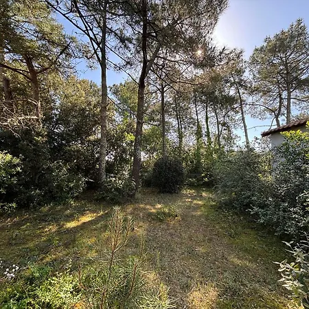 Dans Les Pins, Proche Plage, Animaux Admis - Fr-1-22-371 Dom wakacyjny La Tranche-sur-Mer